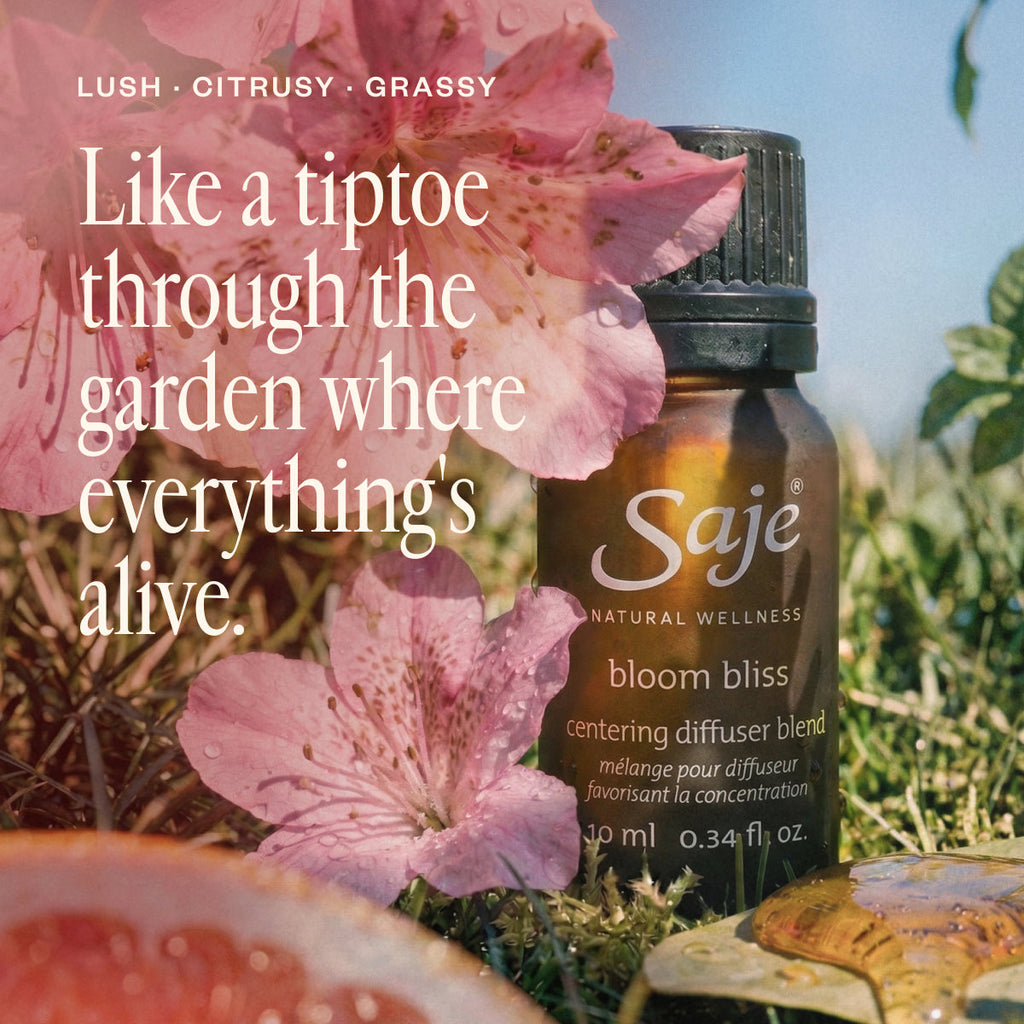 Drive Blissfully